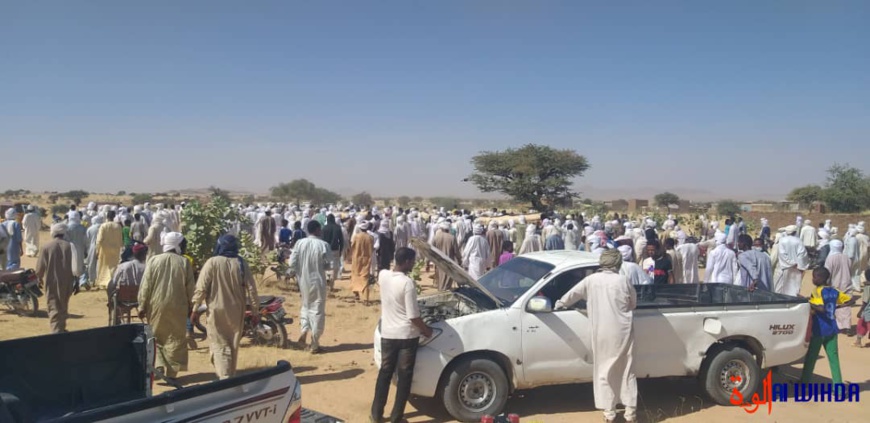 Tchad : enterrement de quatre jeunes à Abéché, tués la veille dans des violences