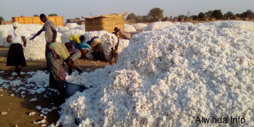 Tchad : des tas de cotons consumés dans un mystérieux incendie à Pala