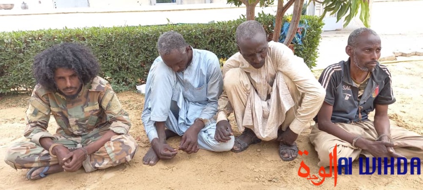 Tchad : capturé par l'armée, le commandant des opérations de la rébellion s'exprime