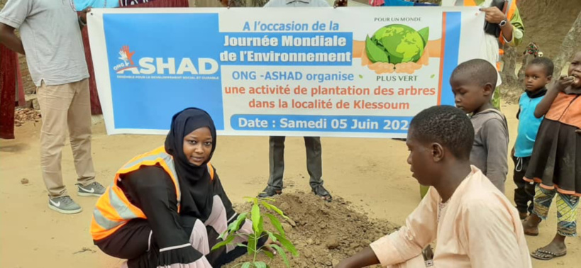 Tchad : l’ONG ASHAD plante des arbres dans 50 ménages à Klessoum