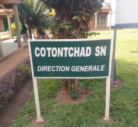 Tchad : les employés de la Coton Tchad SN entrent en grève