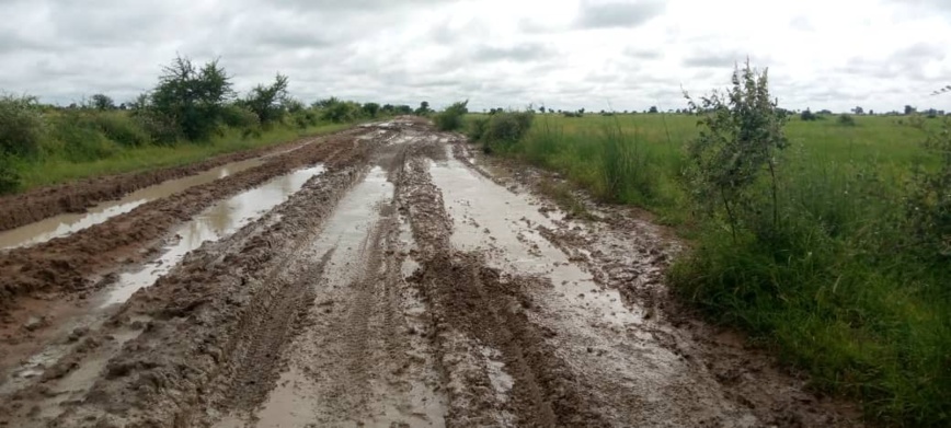 Tchad : impraticabilité des routes, le calvaire des usagers du tronçon Mouroube-Fianga