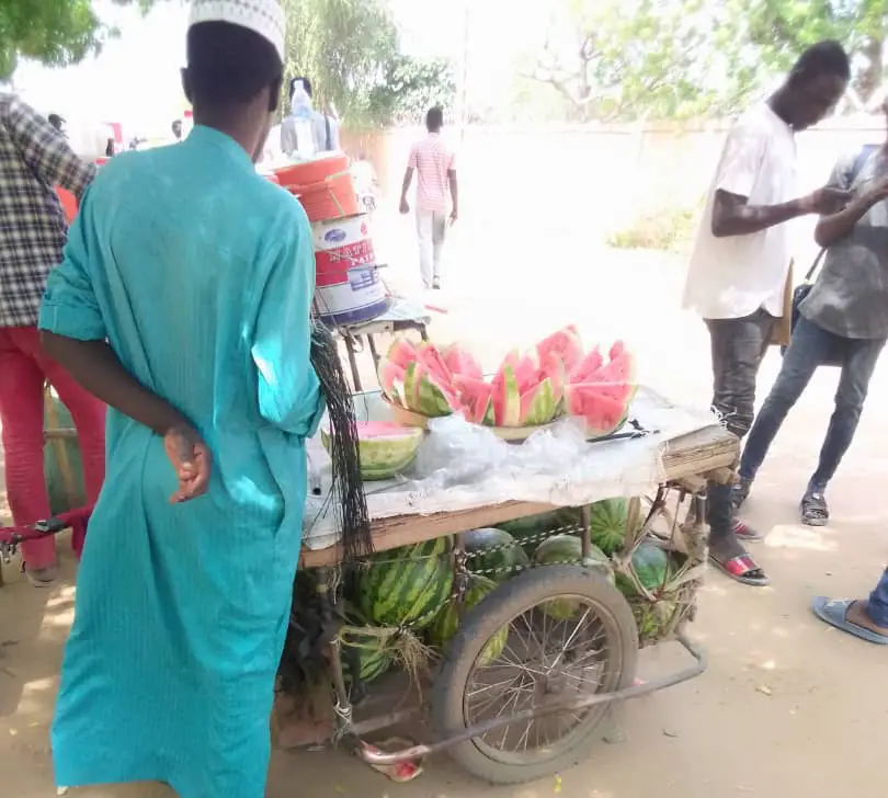 Tchad : la pastèque, un aliment riche en vitamines mais vendu sans notion hygiénique