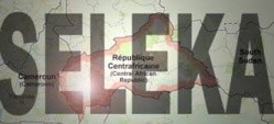 Centrafrique: 10.000 ex-rebelles de la Séléka désarmés par les forces africaines