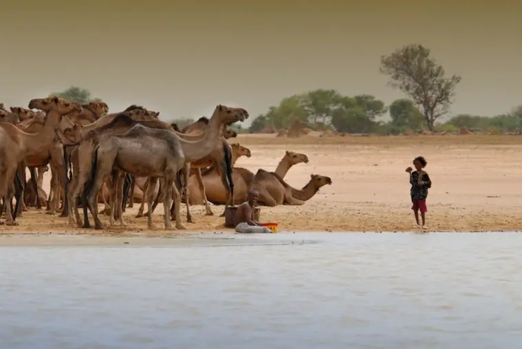 Le parc national de Zakouma. Photo : Kempinski