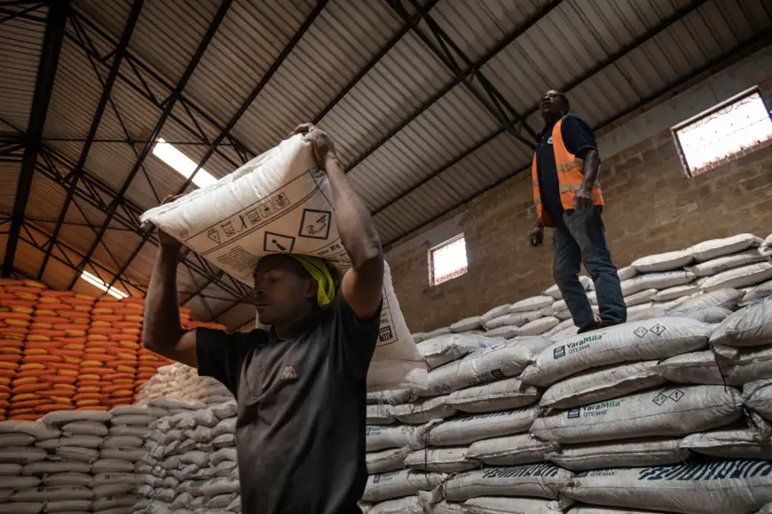 Sécurité alimentaire : don de plus de 5 millions de dollars de la BAD à la Centrafrique