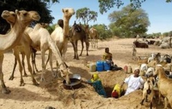 Afrique - Faim - Santé : Le changement climatique exacerbent l'insécurité alimentaire et la propagation des maladies en Afrique