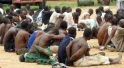 Cameroun, l'armée tue une centaine d'islamistes