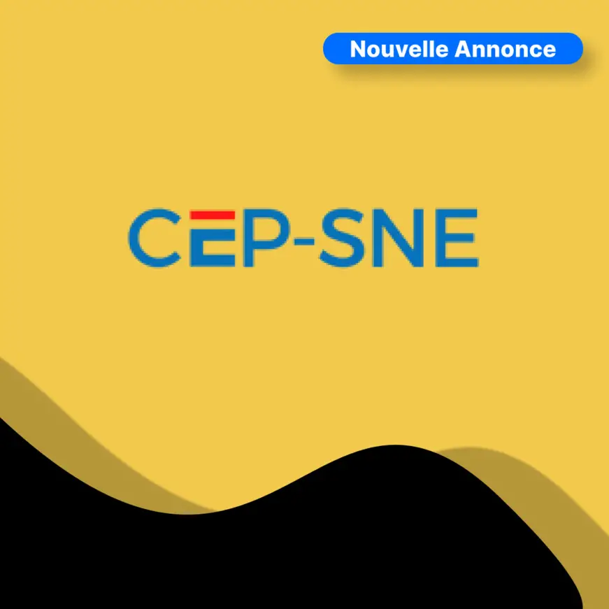 Tchad : Avis d'Appel d'Offre relatif à un marché d'équipements lancé par la CEP-SNE (Projet PAAET)