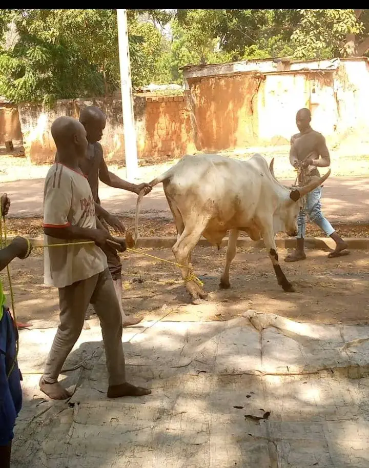 Cameroun: Geste de cœur pour les pensionnaires de la Prison Centrale de Garoua en cette période des fêtes de fin d'année