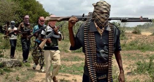 Cameroun : Quatre personnes tuées dans une nouvelle attaque de Boko Haram à l’Extrême-Nord