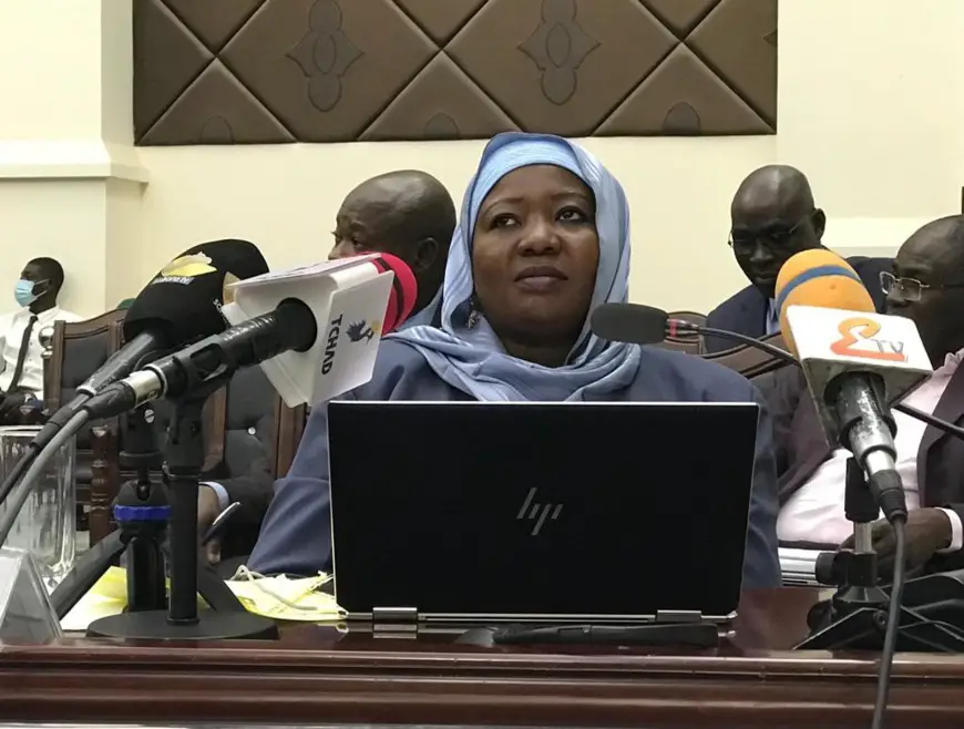 Tchad : Interpellation du Ministère Chargé de la Promotion du Bilinguisme dans l'Administration et des Relations avec les Grandes Institutions suite au rapport sur le projet de loi organique de l’ANGE