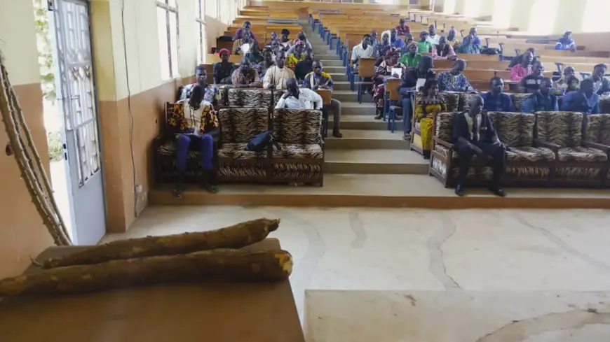 Tchad : La production et la transformation du manioc ainsi que sur le moringa au centre d’un atelier à Moundou