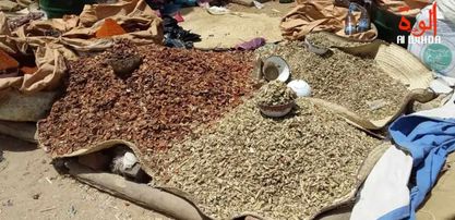 Tchad : les dangers des aliments exposés au sol dans les marchés de N'Djamena