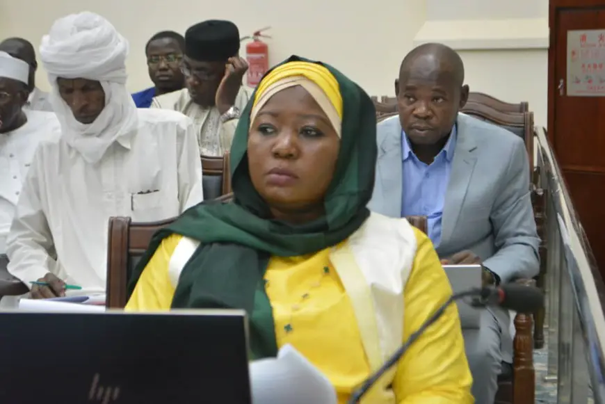 Tchad : le CNT examine le projet de loi sur le fonctionnement de la Cour suprême