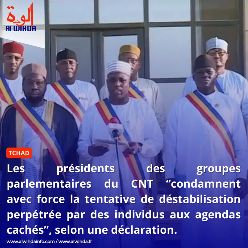 Tchad : les groupes parlementaires du CNT “condamnent avec force la tentative de déstabilisation"