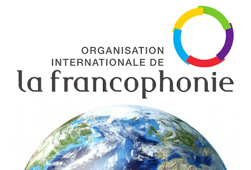 Tchad : La Francophonie (OIF) prend acte de l'élection du candidat Mahamat Idriss Deby