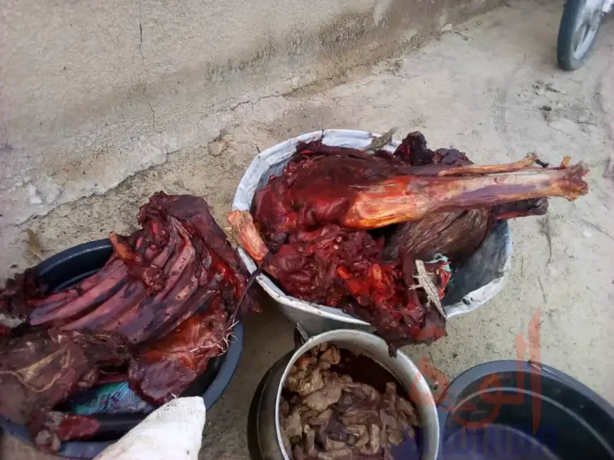 Tchad : le conducteur d’une V8 s’enfuit avec de la viande sans payer