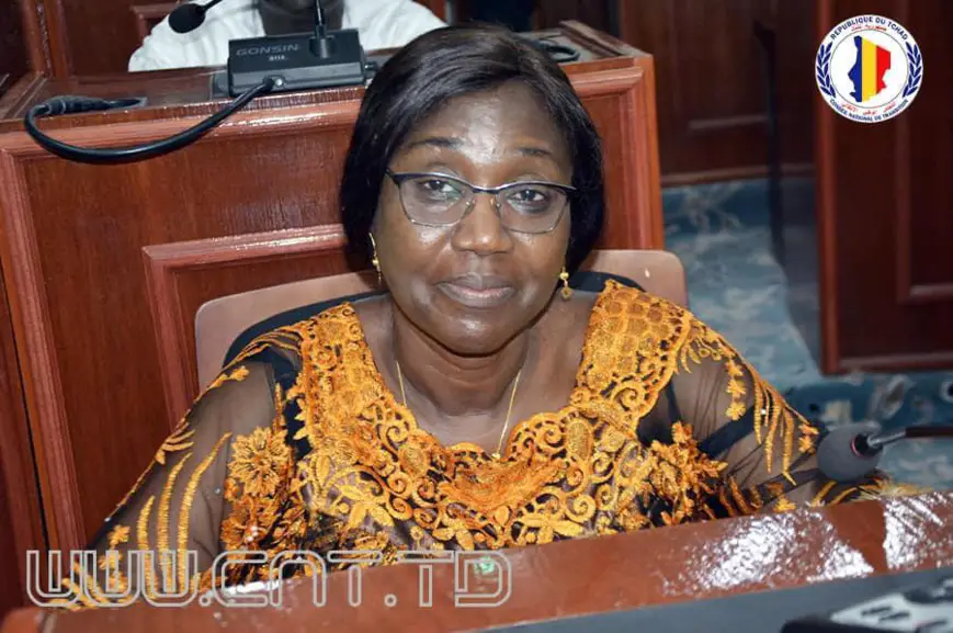 Tchad : 12ème séance plénière au Conseil national de transition (CNT)