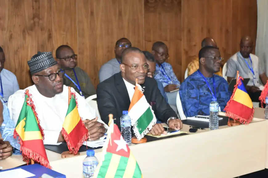 Afrique : le RAFPRO a tenu une double assemblée générale à Lomé