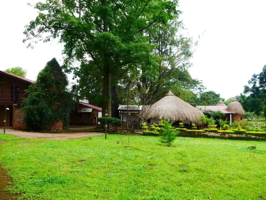 Cameroun - Le Ranch de Ngaoundaba: Un havre de paix en plein cœur de la région de l’Adamaoua