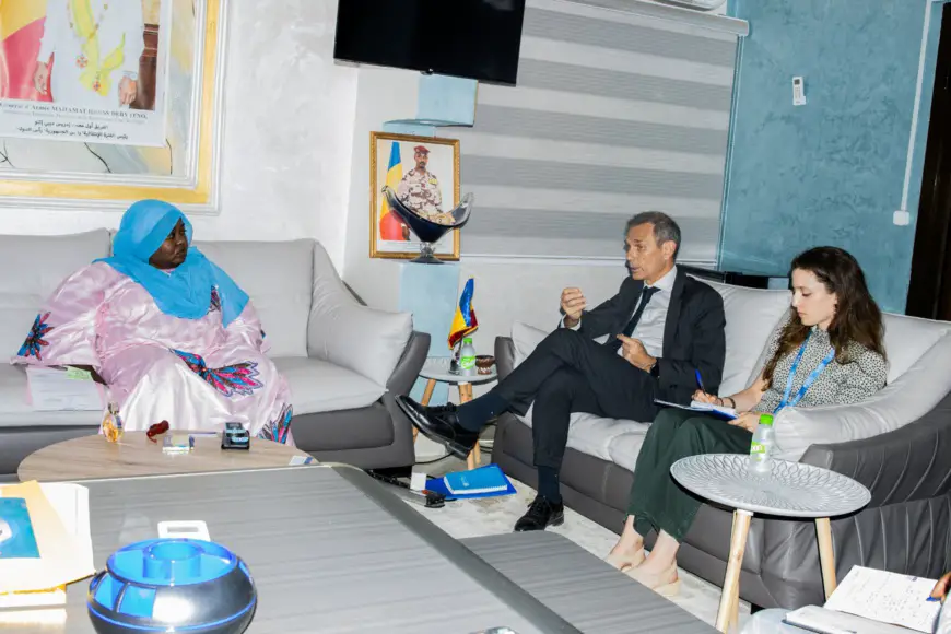Tchad : Concertation sur la situation humanitaire et la collaboration bilatérale entre le gouvernement et l'OIM