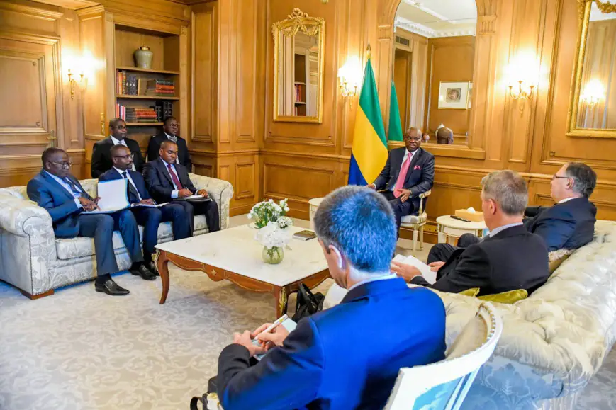Gabon : le chef de l'État a reçu le directeur général de Total Energies à Paris