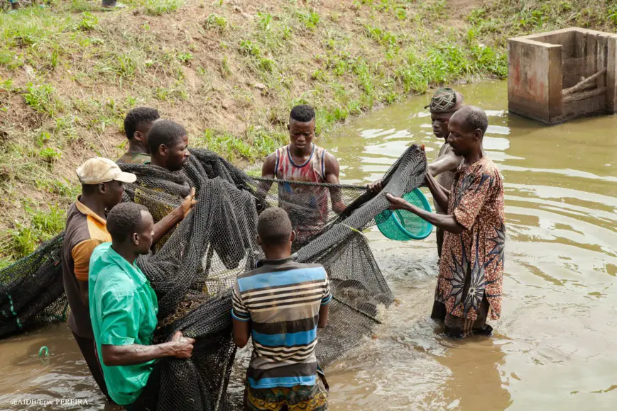 Bénin : un appui décisif préserve des jeunes ruraux du chemin de l’émigration clandestine vers l’Occident