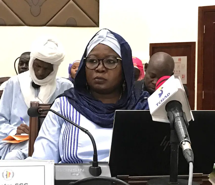 Tchad : le Gouvernement autorisé à légiférer par ordonnances pendant les vacances parlementaires