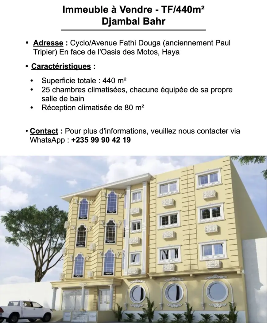 N'Djamena - Annonce : immeuble de 440m2 à vendre à Djambal Bahr (Avenue Fathi Douga)