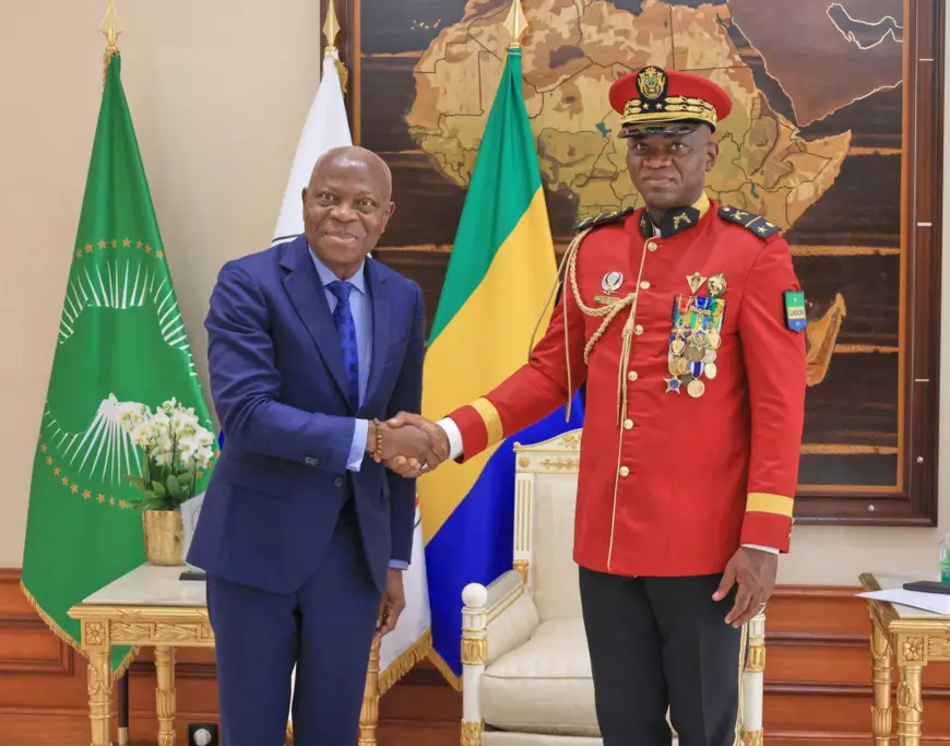 Gabon : le président de la Transition échange avec le DG de l’OIT sur l’employabilité des jeunes