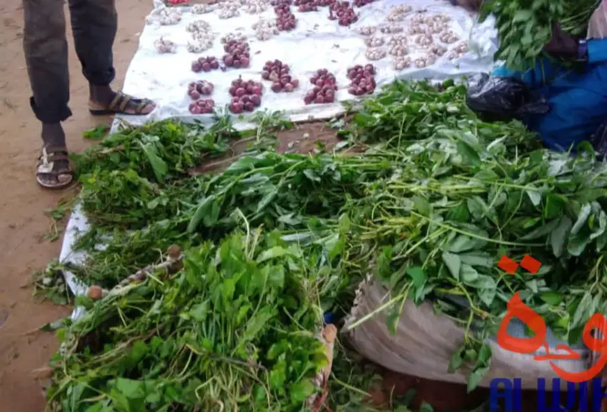 Tchad : attention aux maladies liées à l'hygiène des légumes et feuilles en saison des pluies