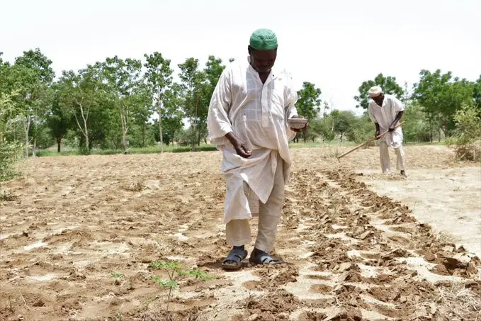 Tchad – L'ANADER forme 600 agriculteurs à Mongo : des techniques éprouvées pour booster les rendements