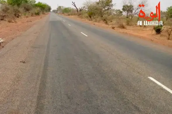 Tchad - Fortes pluies : l'axe Oum Hadjer-Abéché sérieusement endommagé, des travaux de réparation en cours