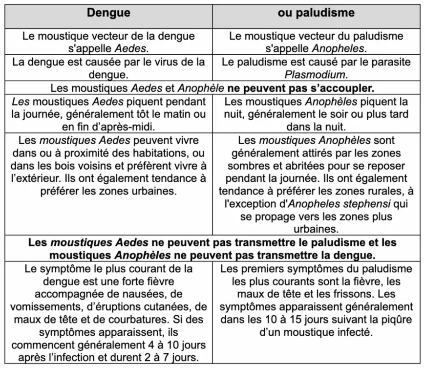 Dengue ou paludisme? Comment distinguer les maladies transmises par les moustiques