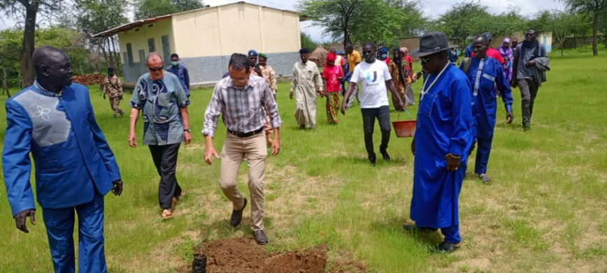 Tchad : Des milliers d'arbres plantés pour freiner l'avancée du désert