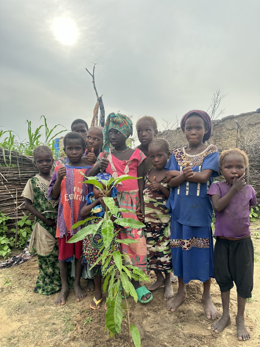 Tchad :  L'association des Femmes de la Diaspora Tchadienne apporte des solutions aux défis environnementaux et socio-économiques