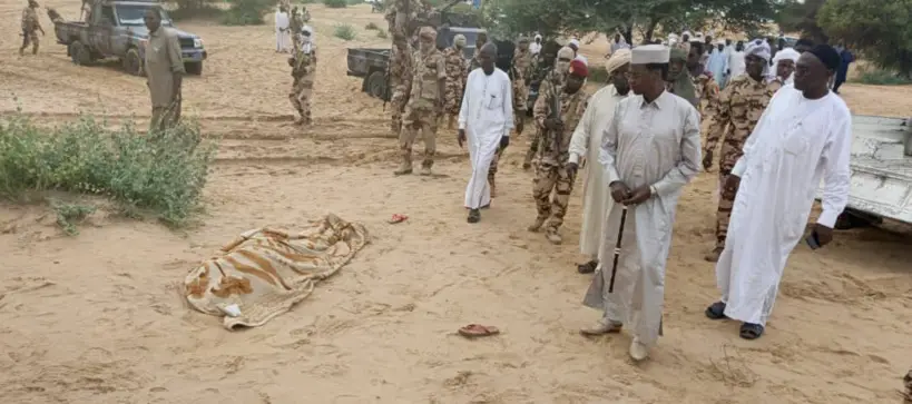 Tchad : un mort dans un conflit entre agriculteurs et éleveurs près de Mao