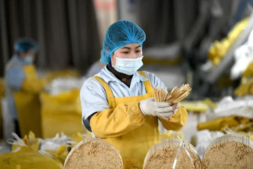 Workers make bamboo tableware to be exported in a workshop of a company in Wuyishan, southeast China's Fujian province. (Photo by Wang Wangwang/People's Daily Online)