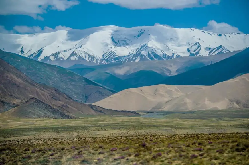 Photo shows the Hoh Xil National Nature Reserve in northwest China's Qinghai province. (Photo by Zhao Guangliang/People's Daily Online)