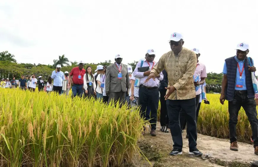 Participants of the 2nd Forum on China-Africa Cooperation in Agriculture visit the Paddy Field National Park in Sanya, south China's Hainan Province, Nov. 14, 2023. (Xinhua/Yang Guanyu)