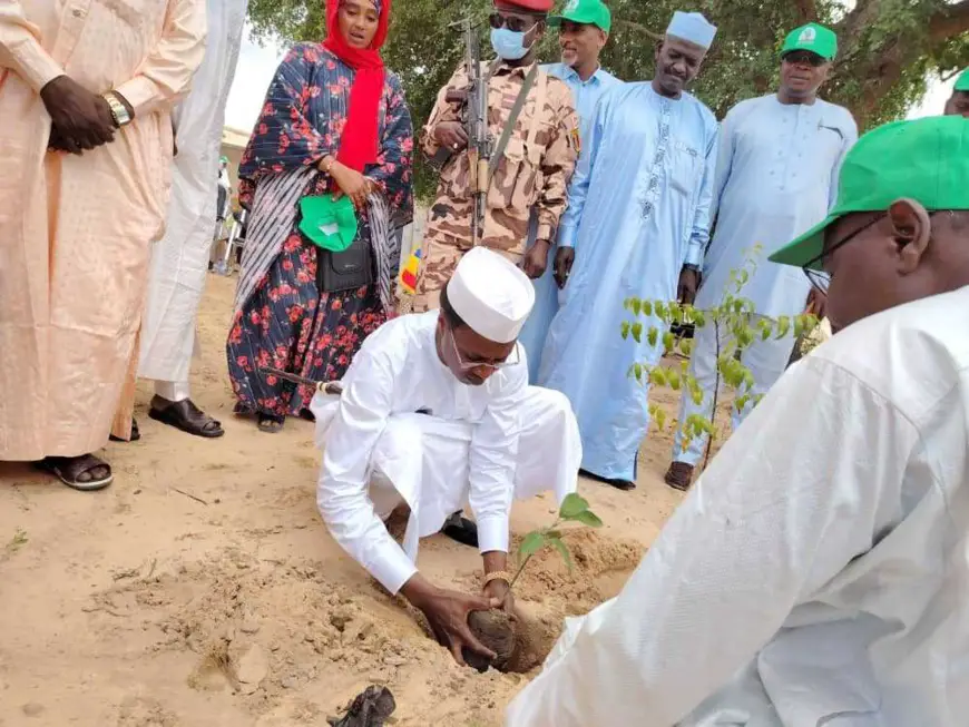 Tchad : lancement officiel de la Semaine nationale de l’arbre à Mao