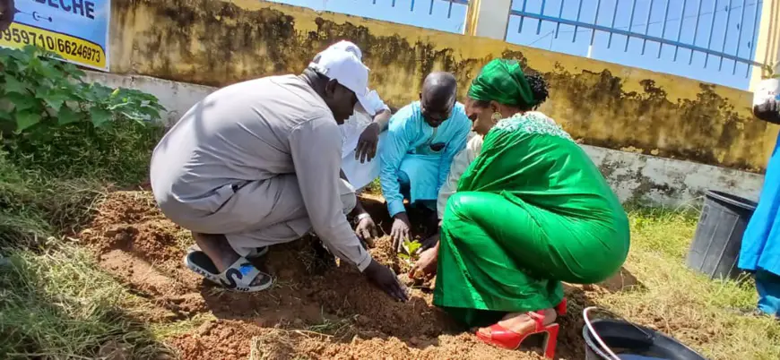 Tchad : à Abéché, l'ADAH contribue à la reforestation lors de la Semaine nationale de l'arbre