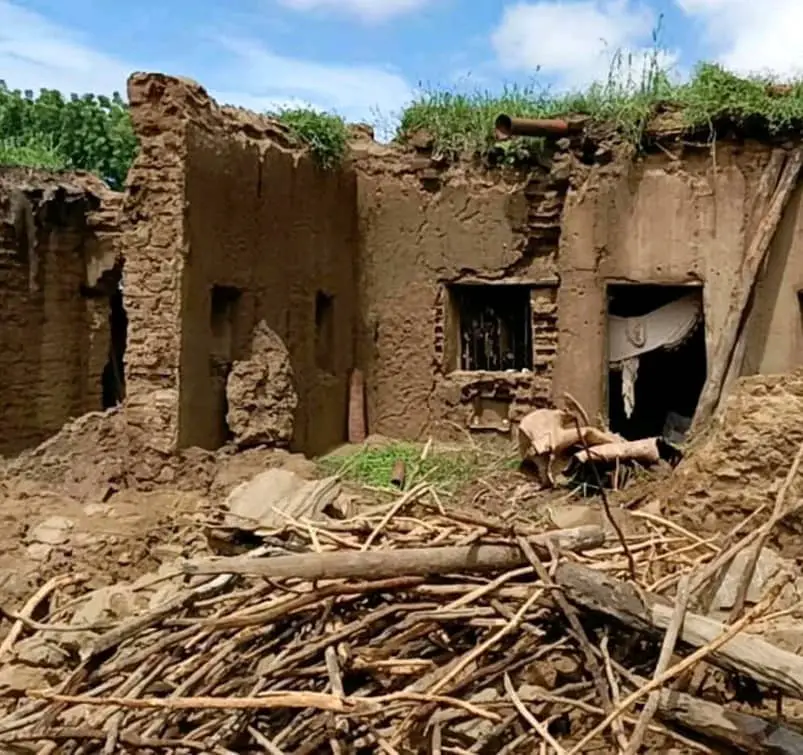 Tchad : 19 provinces sur 23 touchées par les inondations (Comité)