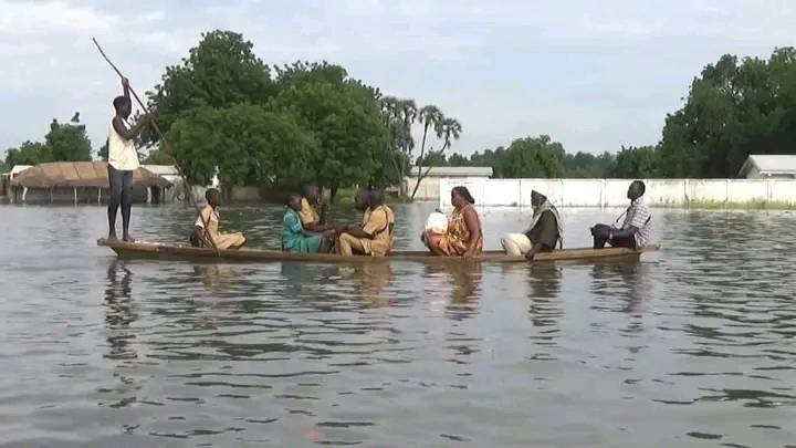 Cameroun - Mayo Danay : La rentrée scolaire sous les eaux, élèves et enseignants contraints à l'embarquement