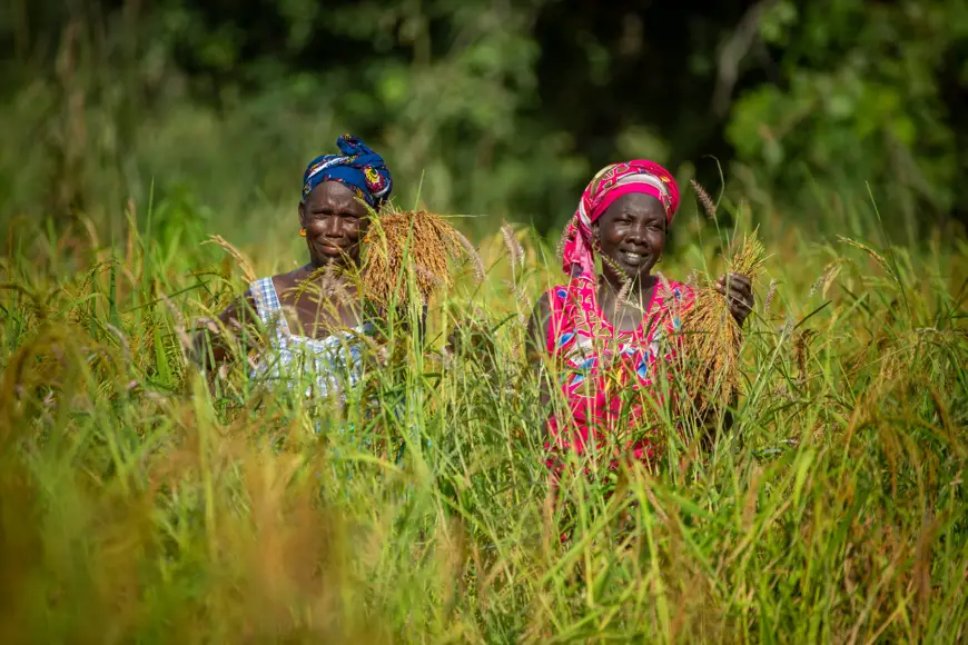 Guinée-Sénégal-Togo : la BAD accorde 102,79 millions $ pour soutenir les agriculteurs