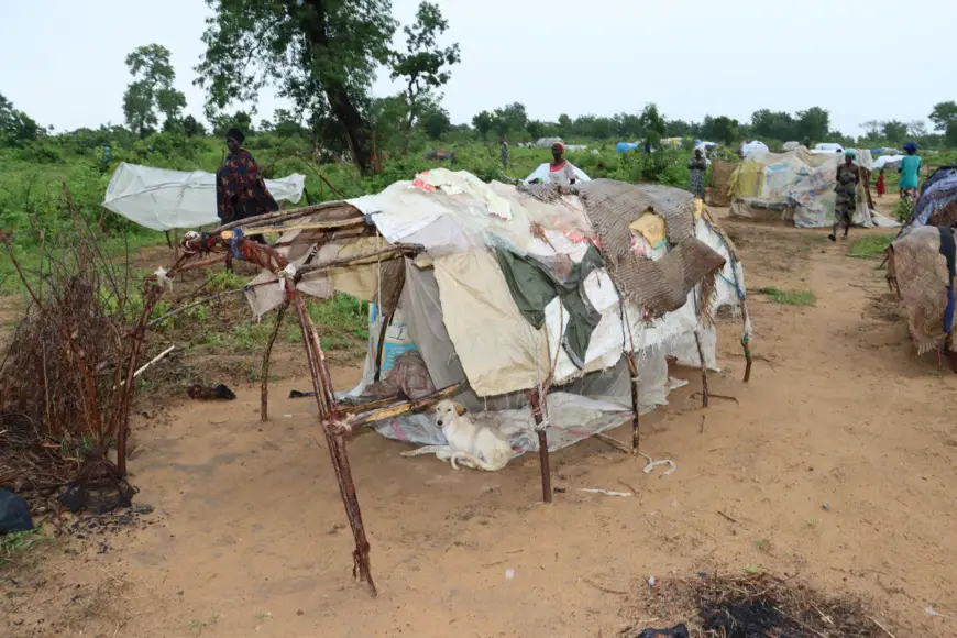 Image : @UnhcrTchad