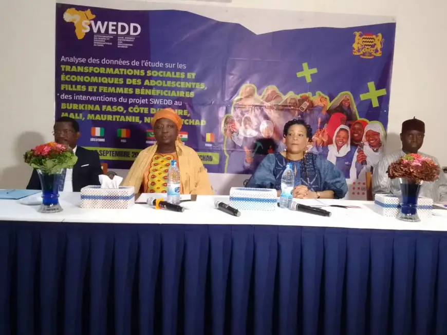 Tchad : Atelier d'analyse des données du Projet SWEDD