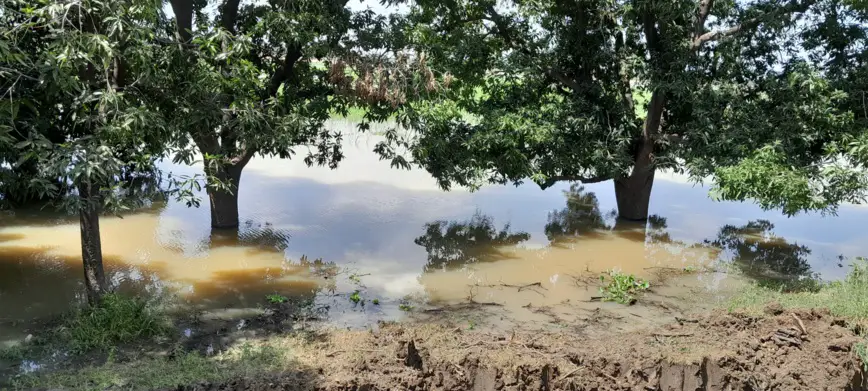 Tchad : comment mieux se préparer face aux inondations, risques climatiques et sanitaires ?