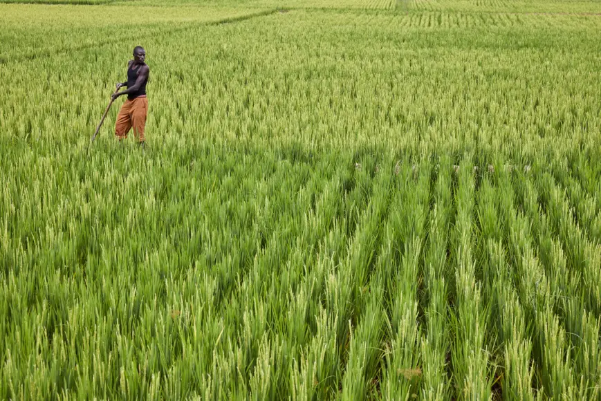 Burundi - Rwanda : 323 millions $ pour développer l’agriculture, les transports et les échanges commerciaux